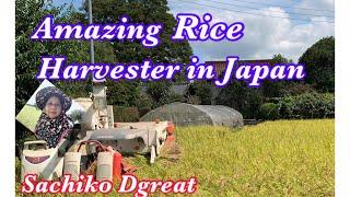 AMAZING RICE HARVESTER IN JAPAN