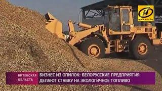 Экологическое топливо из опилок делают белорусские предприятия