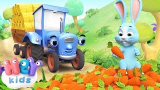 Der blaue Traktor   Tiere für kleinkinder | Kinderlieder TV