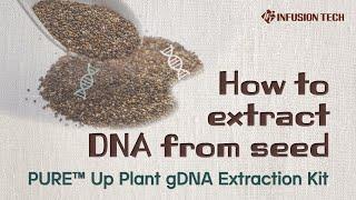 Infusion Tech │ How to extract DNA from seed