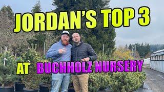 Jordan’s Top 3 Conifers at Buchholz Nursery | Horticulture Manager at Buchholz Nursery