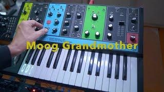 MOOG GRANDMOTHER in profundum : Perfect Synthesizer : auf Deutsch