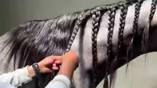 Beautiful Hair (Part 1)– Manes