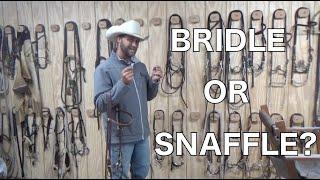 Bridle VS Snaffle | Something You May Not Have Known