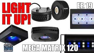 Kessil AP9X - Choosing the Right LED LIGHTING For Your Saltwater Aquarium - Mega Matrix 120