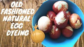 Natural way to dye eggs using onion peels making leaf patterns