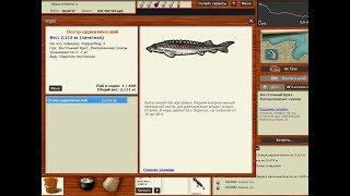Русская рыбалка 3.9 — Осетр адриатический