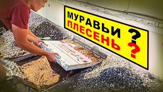 Вскрыл утепленную отмостку, чтобы объяснить ее необходимость(Муравьи? Плесень? Что с температурой?).