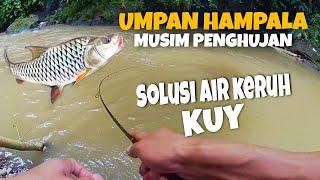 Umpan Casting Hampala Air Keruh || Hampala Sukabumi