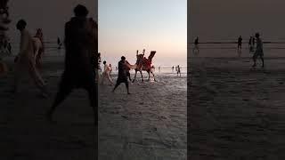 Karachi beach ️ Clifton #beach #sunset #camel  ساحل سمندر کراچی کلفٹن كورنيش كراتشي