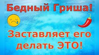 Деревенский дневник очень многодетной мамы \ Бедный Гриша! Заставляет его делать ЭТО! \ Обзор