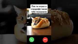 не пов а жиза