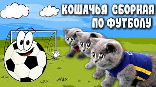 33 Котёнка - СМЕШНЫЕ КОТЫ КОТЯТА ИГРАЮТ В ФУТБОЛ ЧЕМПИОНАТ МИРА 2022! CATS KITTENS PLAYING FOOTBALL