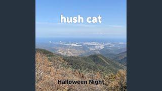 hush cat