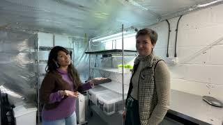 What to grow when you've no room to grow? Joyce talks to Imola Andras from Eledel Micro-greens.