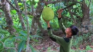 [Story 81] I love jackfruit! Picking and cooking jackfruit | Filipino Countryside Life