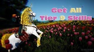 Get All Skills On Your Tier 9 Dream Horse - 100% Way To Force Skills - BDO