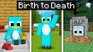 From BIRTH to DEATH in Minecraft