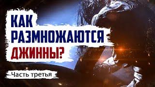 Как размножаются джинны? Какими сверхспособностями они обладают? | Джинны #3 | Время покаяния