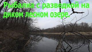 Разведка с рыбалкой на диком лесном озере.