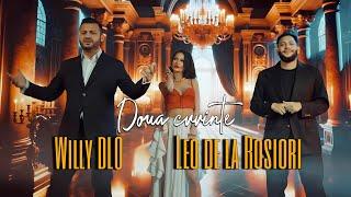 Leo de la Rosiori  Willy DLO   Doua cuvinte  oficial video