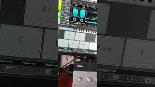 Chords epic demo_Chord Pads_Cubase #shorts