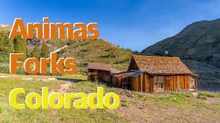 Animas Forks Colorado | Camping at a Mining Town for Photograhy Vlog 2022