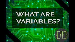 What are Variables in Programming?