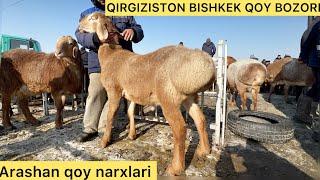 QIRGIZISTON BISHKEK QOY BOZOR NARXLARI ARASHAN QOY NARXLARI