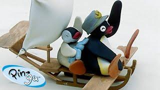 The Flying Pingu!  | Pingu - Official Channel | Cartoons For Kids