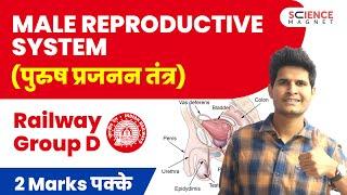 Railway Group D  Male Reproductive System (पुरुष प्रजनन तंत्र) | 2 Marks पक्के #neerajsir #group_d