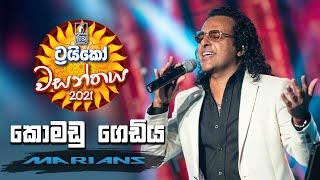 Komadu Gediya ( කොමඩු ගෙඩිය ) - Trico වසන්තය with MARIANS