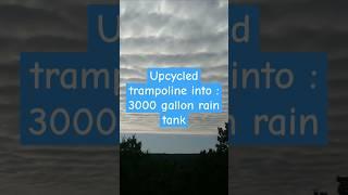 Find out how to make a raintank from discarded trampoline!