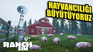 HAYVANCILIKTAN ÇOK BÜYÜK PARA KAZANACAĞIZ | RANCH SIMULATOR !!