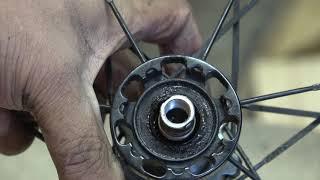 Shimano Bike Wheel Hub Overhaul (Cup and Cone)