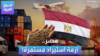 الأسواق العربية | مصر.. أزمة استيراد مستمرة!