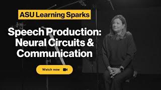 Speech Production: Neural Circuits & Communication | Learning Sparks