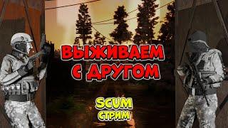 Будем рейдить. Розыгрыш  - SCUM стрим