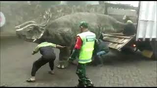 Viral Video Dinosaurus di Magetan