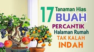 17 Tanaman Hias Buah Untuk Mempercantik Halaman Rumah  Tak Kalah Indah Dengan Tanaman Kekinian!