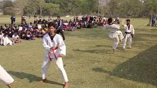 Taekwondo - Taekwondo Fight - Taekwondo Training - Taekwondo Knockout - Sankar Baishya