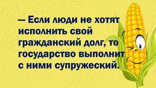 Пушкин говорит Арине Родионовне / Анекдоты от Смешарика