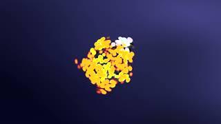Simple particle logo Animation After Effects