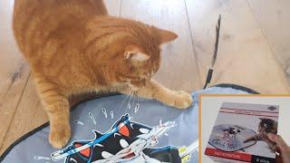 Cat Cody vs Undercover Mouse
