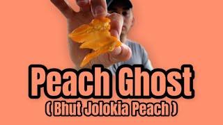 Peach Ghost | Pepper Review