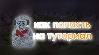 ГАЙД КАК ПОПАСТЬ НА ТУТОРИАЛ | gorilla tag |ПОФИКСИЛИ, БОЛЬШЕ НЕ РАБОТАЕТ