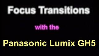 Focus Transitions Using the Panasonic Lumix GH5