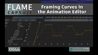 Flame Capsule 044 - Framing Curves in the Animation Editor - Flame 2022