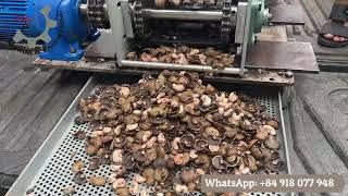 Vietnam Cashew nut Shelling Machine 4 head - Cashew Cracking Machine - Cashew Cutting Machine