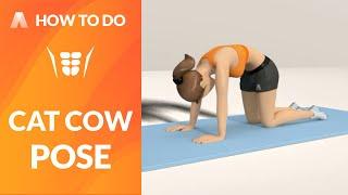 How to Do: CAT COW POSE